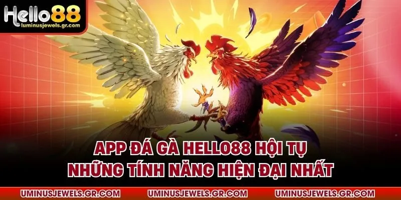 App đá gà HELLO88 hội tụ những tính năng hiện đại nhất