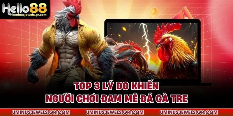 Top 3 lý do khiến người chơi đam mê đá gà tre